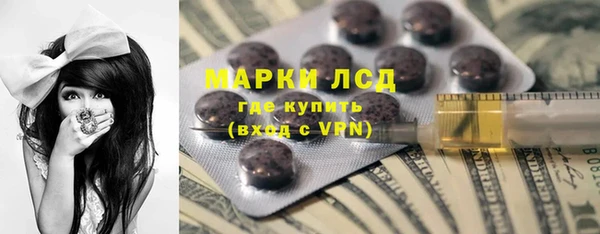 прущие грибы Алексеевка