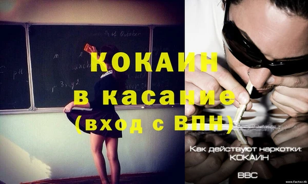 прущие грибы Алексеевка