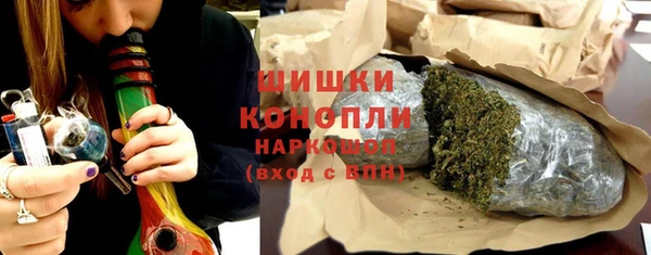 прущие грибы Алексеевка