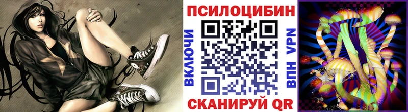 Псилоцибиновые грибы MAGIC MUSHROOMS  магазин продажи наркотиков  Апрелевка 